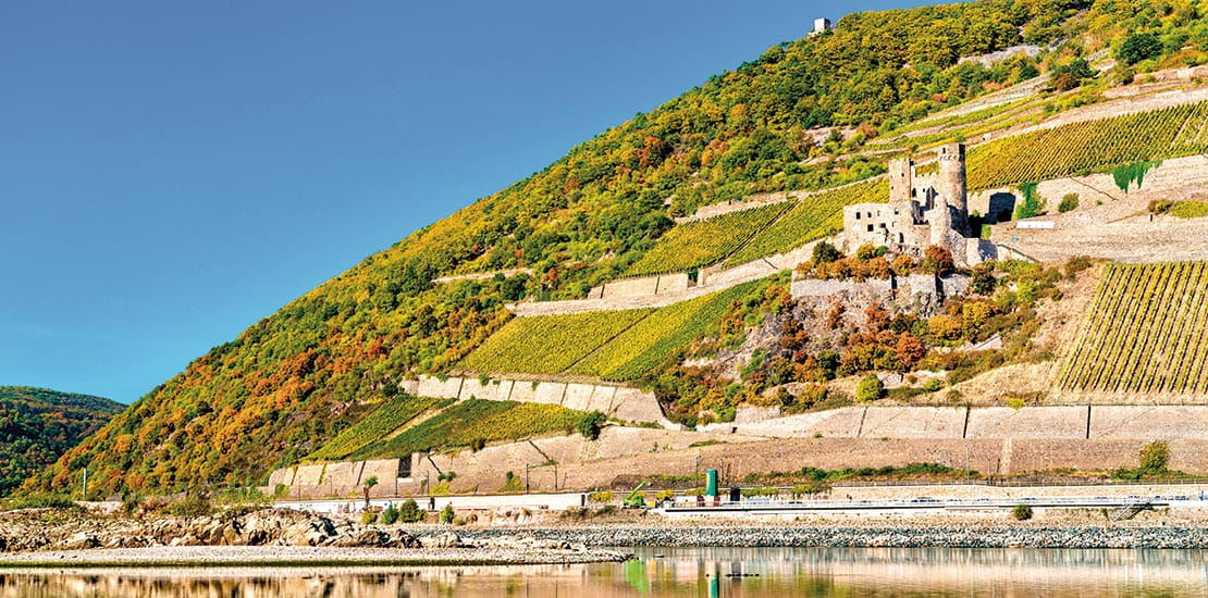 Ehrenfels Castle surrounded by vineyards in the Rhine Gorge near Rudesheim, Germany